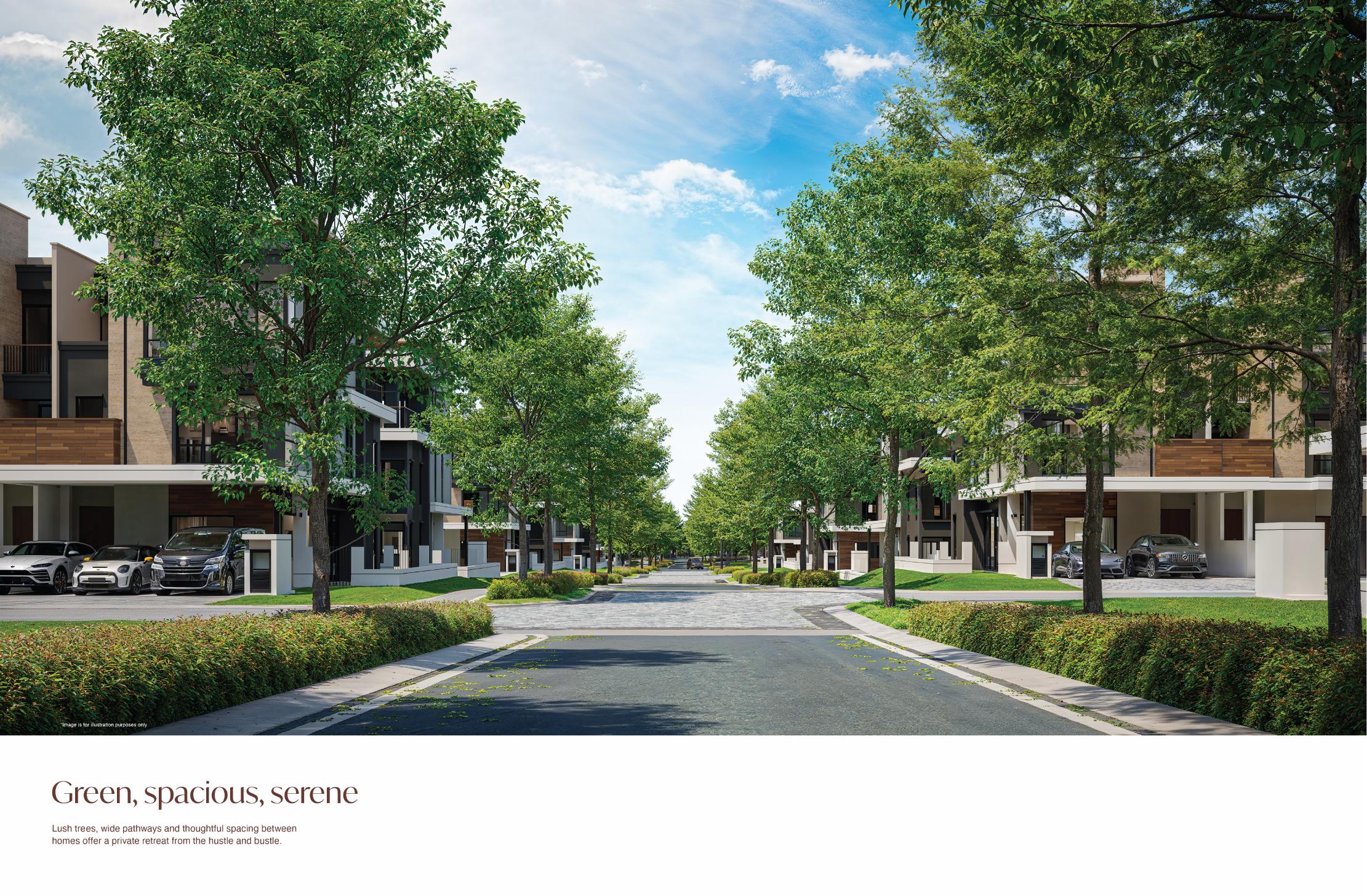 Zenia Parkhomes